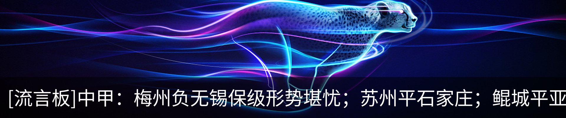 新闻动态